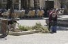 Αναγνώστης: Ιδιώτες καθαρίζουν μόνοι τους τα παρτέρια στην Καρδάμαινα αφού δεν "βλέπουν φως" από τον Δήμο