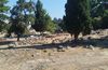 Σ. Χατζηπέτρος: Έρχεται αύριο η Υπ. Πολιτισμού και όλοι τρέχουν τώρα για να της δείξουν μία ωραία Κω