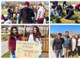 Οικολογική δράση από το "Cocomat" και την περιβαλλοντική ομάδα του 1ου γυμνασίου Κω