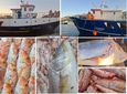 Με καθυστέρηση 10 ημερών σήκωσαν άγκυρες οι “μηχανότρατες” της Καλύμνου – Γέμισαν με φρέσκα ψάρια οι πάγκοι των ιχθυοπωλείων