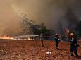 Πύρινος όλεθρος στη Δυτική Αττική: «112» για εκκένωση προς Μέγαρα – Ανεξέλεγκτες οι φλόγες σε πολλαπλά μέτωπα