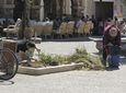 Αναγνώστης: Ιδιώτες καθαρίζουν μόνοι τους τα παρτέρια στην Καρδάμαινα αφού δεν "βλέπουν φως" από τον Δήμο