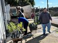 Πάνω από 2.000 φυτά σε δήμους, σχολεία και κοινότητες των νησιών από το Περιφερειακό Φυτώριο Νοτίου Αιγαίου