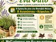 Μελισσοκομικός Συνεταιρισμός Κω Κεφάλου: Υιοθέτησε ένα Φυτό – Μαζί κάνουμε την Κω πιο πράσινη!