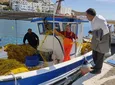 Πρόταση του Μάνου Κόνσολα για στήριξη των αλιέων