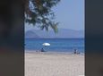 Μαγευτικό θέαμα σε παραλία της Κω – 4 δελφίνια χάρισαν μοναδικές στιγμές στους λουόμενους 