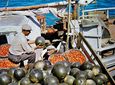 Τα αποκηπίσματα της εύφορης Κω και η συρρίκνωση της Αγροτιάς σήμερα (γράφει η Ξανθίππη Αγρέλλη)