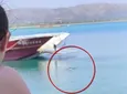 Λιμενικό: Δικογραφία για το πλοίο που άνοιξε εν πλω τον καταπέλτη – Πλοιοκτήτης ο άνδρας που επιβάστηκε κολυμπώντας (vid)