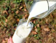Aγελαδινό γάλα: Τα υπέρ και τα κατά του στη διατροφή μας