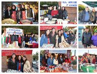 Χριστουγεννιάτικη ατμόσφαιρα στην Αντιμάχεια με παζάρι και άναμμα δέντρου