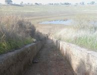 ΑΝΑΓΝΩΣΤΗΣ: ΘΑ ΠΟΥΜΕ ΤΟ ΝΕΡΟ ΝΕΡΑΚΙ...