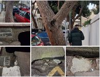 Ανησυχία πολιτών για επικίνδυνη κλίση δέντρου και καθίζηση οδοστρώματος στην οδό Ελ. Βενιζέλου