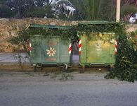 Αναγνώστρια: Κλάδεψε τα δέντρα του και έριξε τα κλαδιά στους κάδους