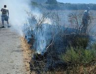 Συμβαίνει τώρα: Φωτιά σε Μαρμάρι και Καρδάμαινα
