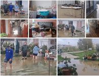 Σε κατάσταση σοκ οι ιδιοκτήτες στην Κω που πλημμύρισαν τα σπίτια τους - Ζητούν αποζημιώσεις