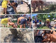 Λουόμενοι καθάρισαν την παραλία δίπλα στην Μαρίνα Κω - Kατηγορούν τον Δήμο για αδιαφορία