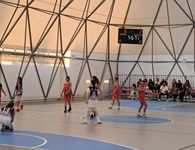 Την Κυριακή 1η Μαρτίου τα εγκαίνια του "θόλου" στην Καρδάμαινα