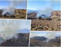 Μεγάλη κινητοποίηση για φωτιά στην Καρδάμαινα (τέθηκε υπό έλεγχο)
