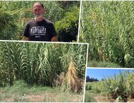 Γ. Σάζαλης (Πυλί): Παράπονα για το ακαθάριστο ποτάμι δίπλα σε σπίτια