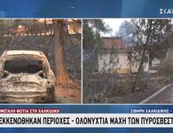 Χαλκιδική: Στάχτη και αποκαΐδια άφησε η φωτιά – Μάχη να σβήσουν και οι τελευταίες διάσπαρτες εστίες