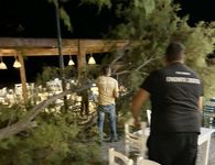 Αγιο είχαν επισκέπτες και θαμώνες εστιατορίου στο Μαστιχάρι - Έσπασε μεγάλος κλώνος δέντρου δίπλα τους