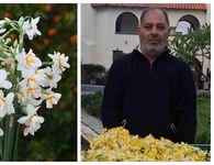 Τα "νερακίζια" της Κω γεμίζουν αρώματα και χρώματα τα σπίτια του χειμώνα