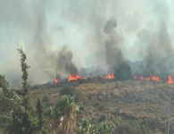 Πυρκαγιές: Πώς τα σκουπίδια μπορούν να γίνουν η σπίθα μιας μεγάλης καταστροφής στα νησιά