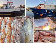 Με καθυστέρηση 10 ημερών σήκωσαν άγκυρες οι “μηχανότρατες” της Καλύμνου – Γέμισαν με φρέσκα ψάρια οι πάγκοι των ιχθυοπωλείων