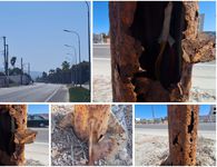 Επικίνδυνες και ετοιμόρροπες κολώνες φωτισμού στην περιοχή "Φάρος" στη Λάμπη