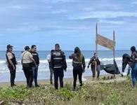 Θρίλερ στο Εκουαδόρ: 5 ανθρώπινα κεφάλια βρέθηκαν κρεμασμένα σε παραλία