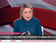 Σάλος με τις δηλώσεις της Βουλεύτριας της ΝΔ Χ. Αλεξοπούλου: «Το τζάμπα πέθανε» για τους εκπαιδευτικούς των νησιών 