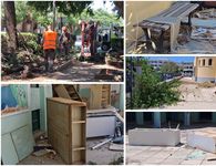Σ. Δουδούς: Καθαρισμοί και παρεμβάσεις από την Υπηρεσία Πρασίνου στην πόλη της Κω