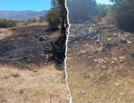 Ανακοίνωση της Πολιτικής Προστασίας Δήμου Κω για τις σημερινές φωτιές σε Πυλί και Πλατάνι 
