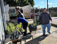 Πάνω από 2.000 φυτά σε δήμους, σχολεία και κοινότητες των νησιών από το Περιφερειακό Φυτώριο Νοτίου Αιγαίου