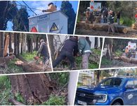 Κοπή “επικίνδυνων” δέντρων στην Κω – Αιχμές από τον κ. Σοφοκλή Δουδούς: Δυστυχώς στο Δήμο κάνουν κουμάντο κάποιοι που δεν έχουν αρμοδιότητα…