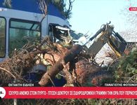 Πύργος Ηλείας: Δέντρο έπεσε σε τρένο προς Κατάκολο - Tραυματίστηκε ο μηχανοδηγός