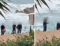 Πάφος: Βίντεο σοκ με κακοποίηση νεκρής χελώνας στην Πάφο - Ελεύθεροι οι τέσσερις εμπλεκόμενοι