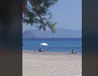 Μαγευτικό θέαμα σε παραλία της Κω – 4 δελφίνια χάρισαν μοναδικές στιγμές στους λουόμενους 