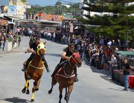 To πρόγραμμα των δοκιμαστικών για την παρέλαση αλόγων στο Πυλί