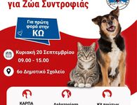 Σεμινάριο Πρώτων Βοηθειών για Ζώα συντροφιάς στην Κω!
