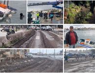 Νύχτα δοκιμασίας για την Κω από την κακοκαιρία «Erminio» (πτώσεις δέντρων, βυθίστηκε καΐκι, πλημμύρισαν δρόμοι κ.α.)