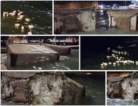 Η κακοκαιρία διέλυσε τα μπλόκια στο λιμάνι της Κω – Γέμισε η θάλασσα με δεκάδες μικρά κομμάτια