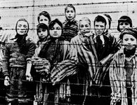 27 Ιανουαρίου - Διεθνής ημέρα μνήμης των θυμάτων του Ολοκαυτώματος (γράφει η Ξανθίππη Αγρέλλη)