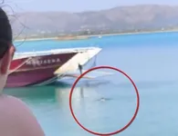 Λιμενικό: Δικογραφία για το πλοίο που άνοιξε εν πλω τον καταπέλτη – Πλοιοκτήτης ο άνδρας που επιβάστηκε κολυμπώντας (vid)