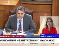 Διασωληνωμένος στη ΜΕΘ του Ευαγγελισμού με ανεύρυσμα ο Υφυπουργός Γιώργος Μυλωνάκης