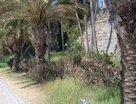 Δημ. Καλλούδης: Οι Ξενοδόχοι στη Ρόδο ενίσχυσαν οι κονομικά τους γιατρούς - Στην Κω τι κάνουν;
