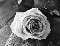 “Έφυγε” από τη ζωή ο αγαπητός συμπολίτης μας Φώτιος Τσολάκης