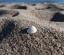  Στο Ebay πουλάνε άμμο από Eλληνικές παραλίες με τιμή εκκίνησης τα 15 ευρώ 
