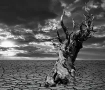 Η μεγαλύτερη ξηρασία των τελευταίων 500 ετών - Στέρεψε η πηγή του Τάμεση ποταμού