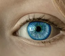 Κερατοειδής χιτώνας από κολλαγόνο χοίρου αποκαθιστά την όραση σε τυφλούς ανθρώπους